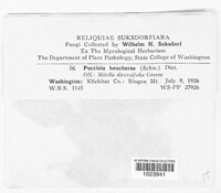Image Associated With the Occurence